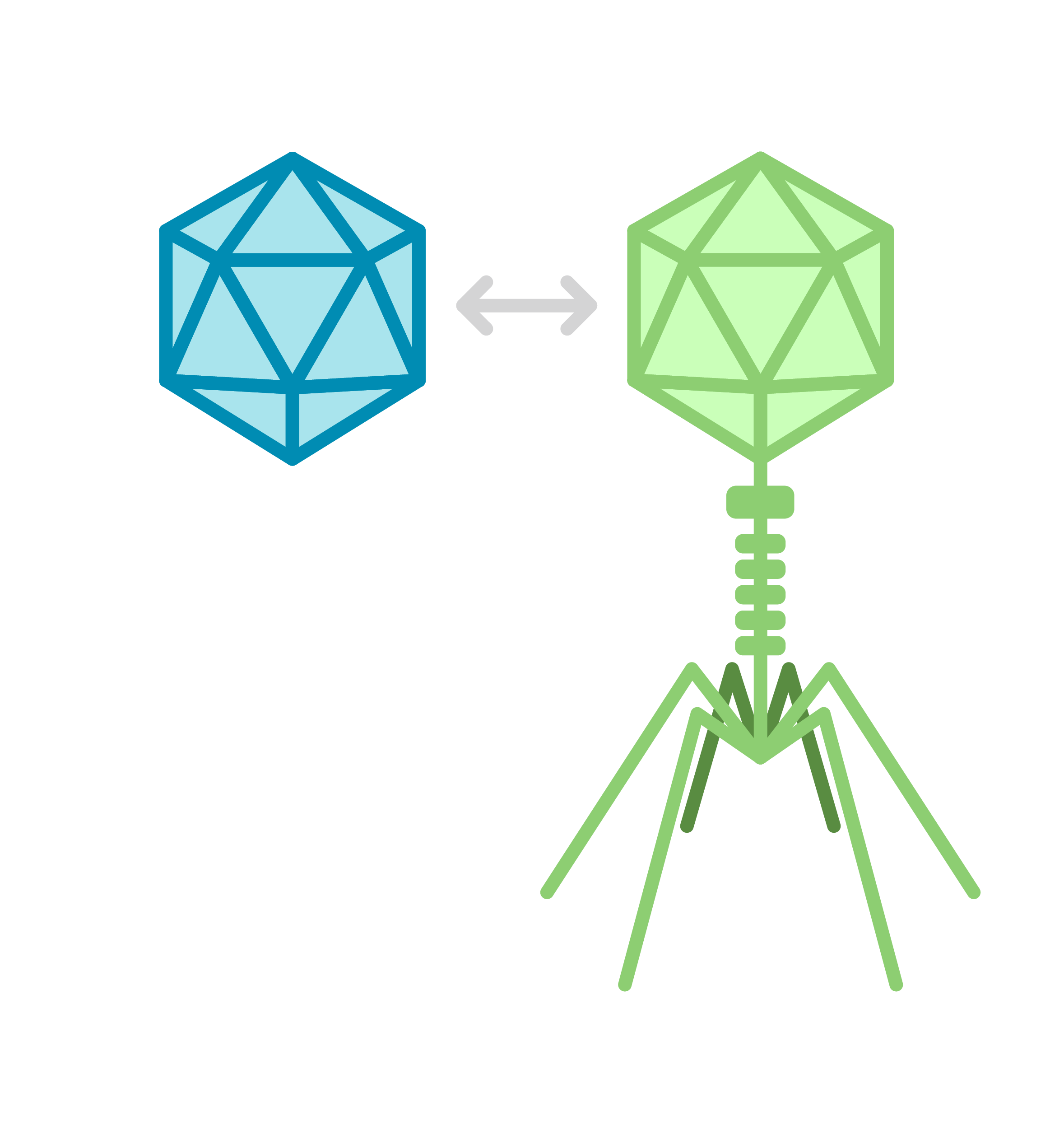 Phage vectors