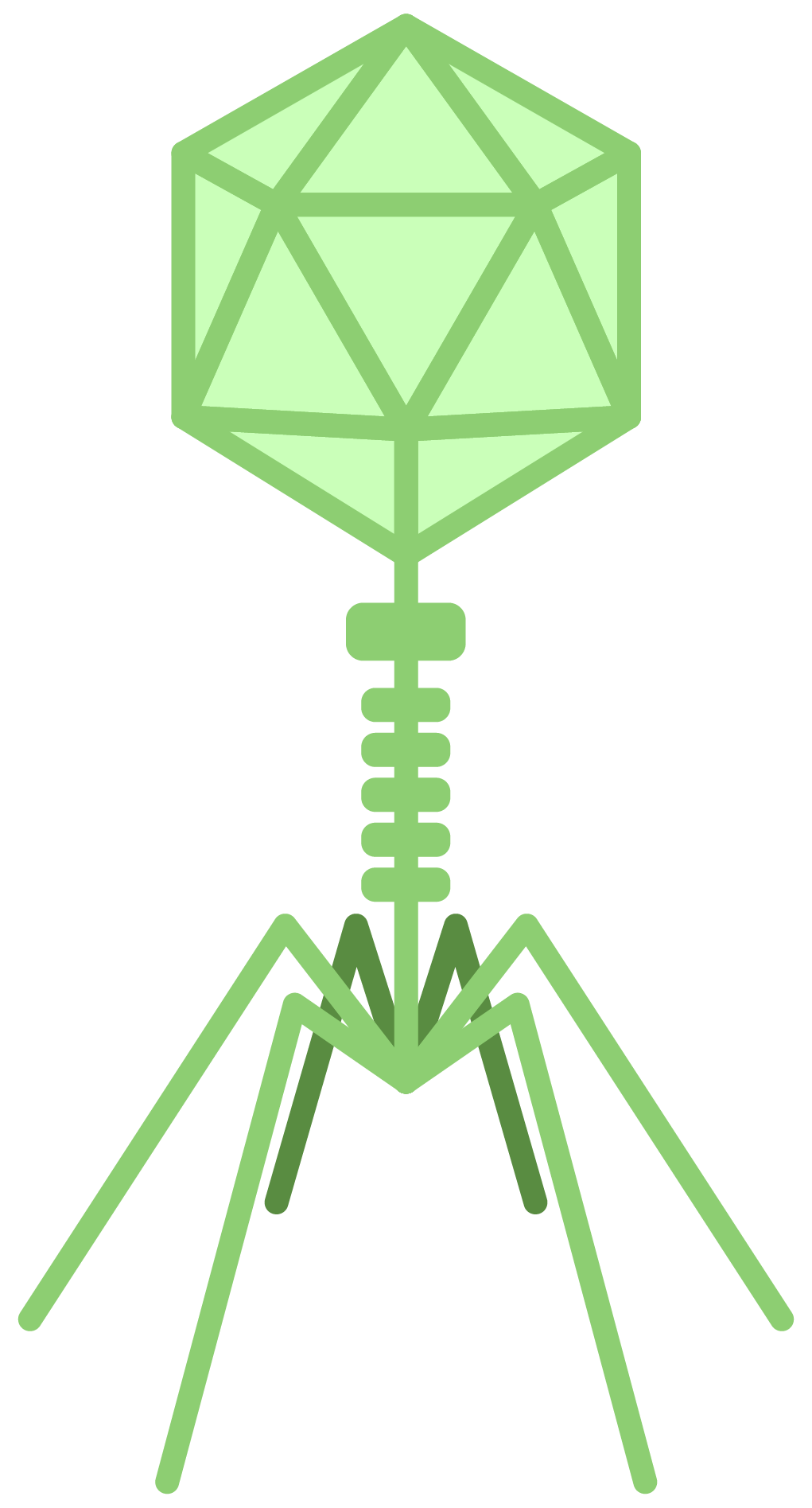 Bacteriophags