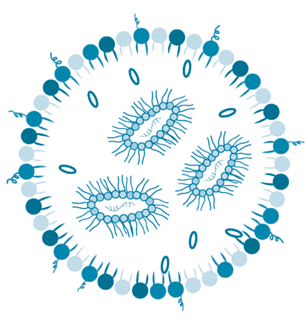 Lipid nanoparticles
